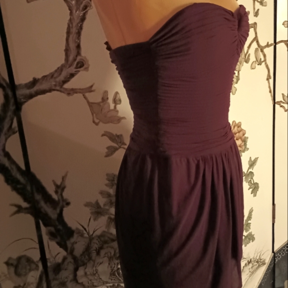 sexy lil BCBG rusted plum strapless party dress - Picture 5 of 6